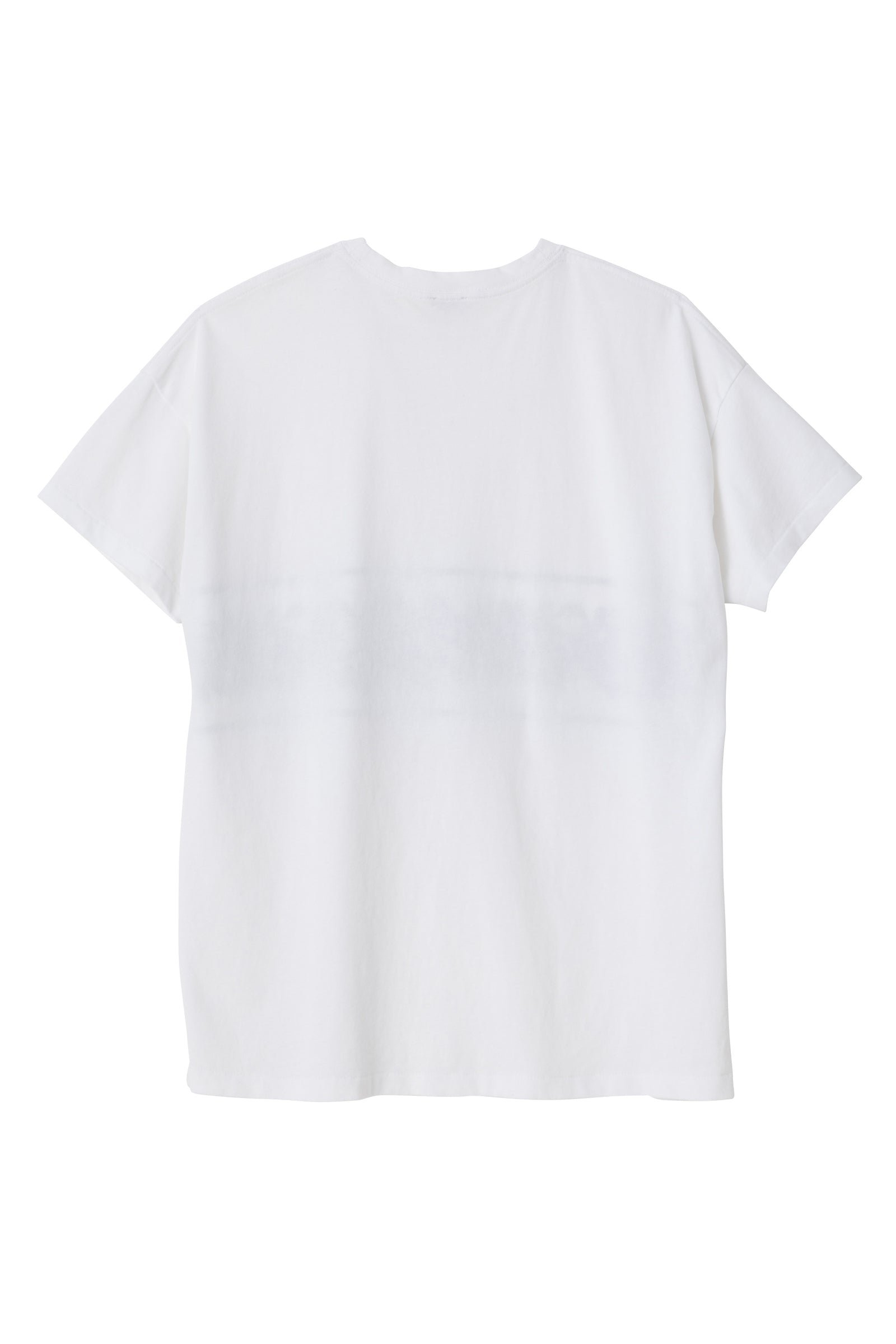 【2025秋冬新作】 SEA TEE（Plumeria） H/S GRAPHIC トップス