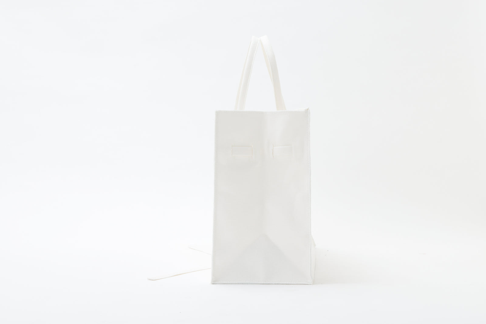 SEA CANVAS PARODY BAG L