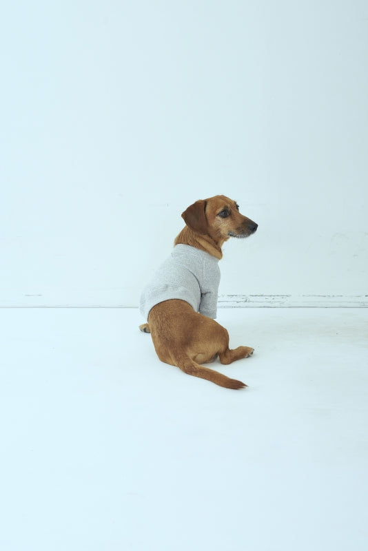 SEA x S for DOG Vintage Sweatshirt