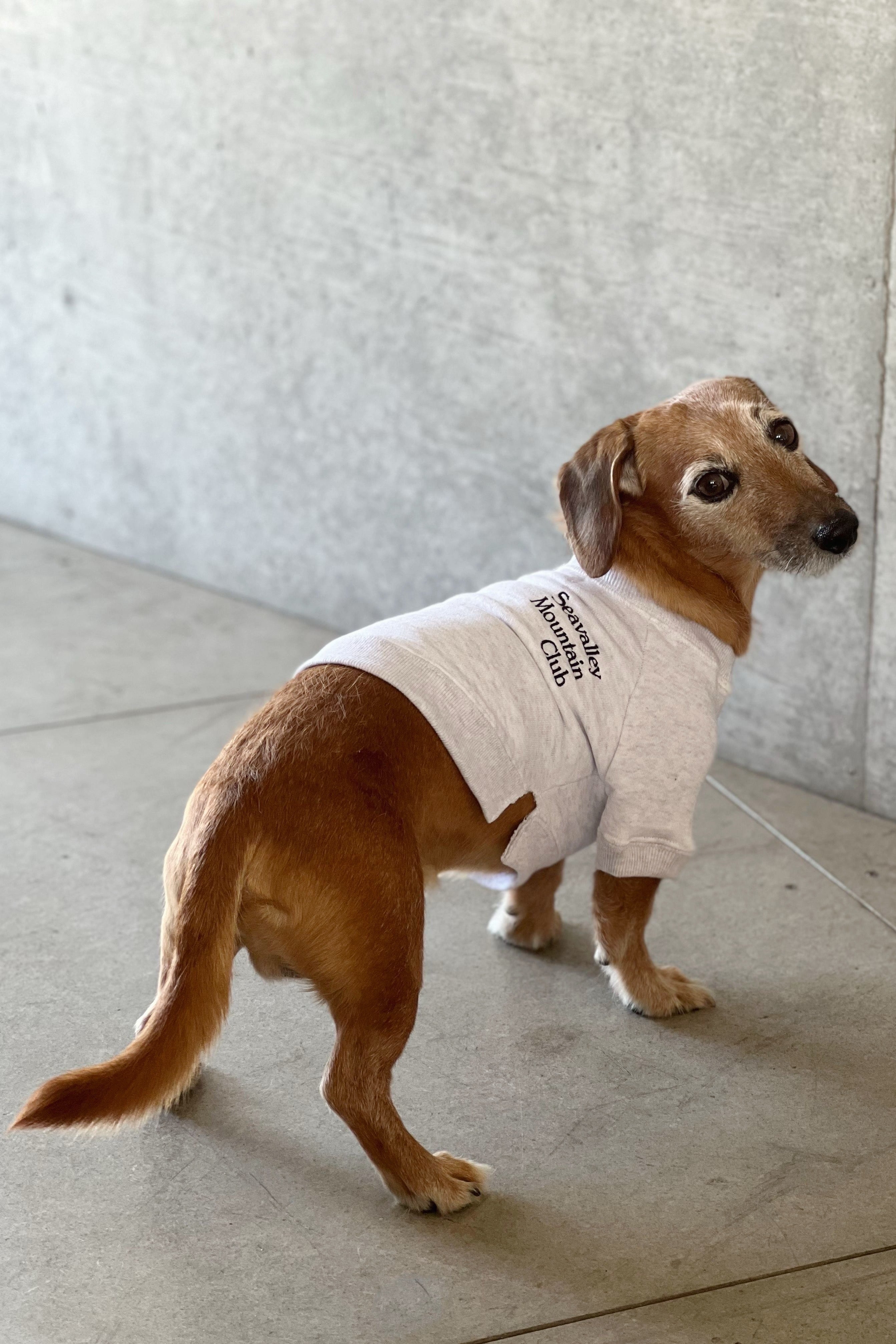 くぅー VINTAGE Seavalley Mountain Club SEA for DOGS VINTAGE “Seavalley Mountain Club” 70's SWEATSHIRT